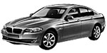 BMW F10 U0073 Fault Code